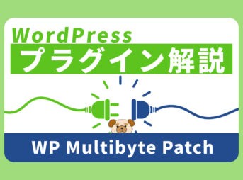 必要か不要か？WordPressのプラグイン『WP Multibyte Patch』とは？【文字化け対策】