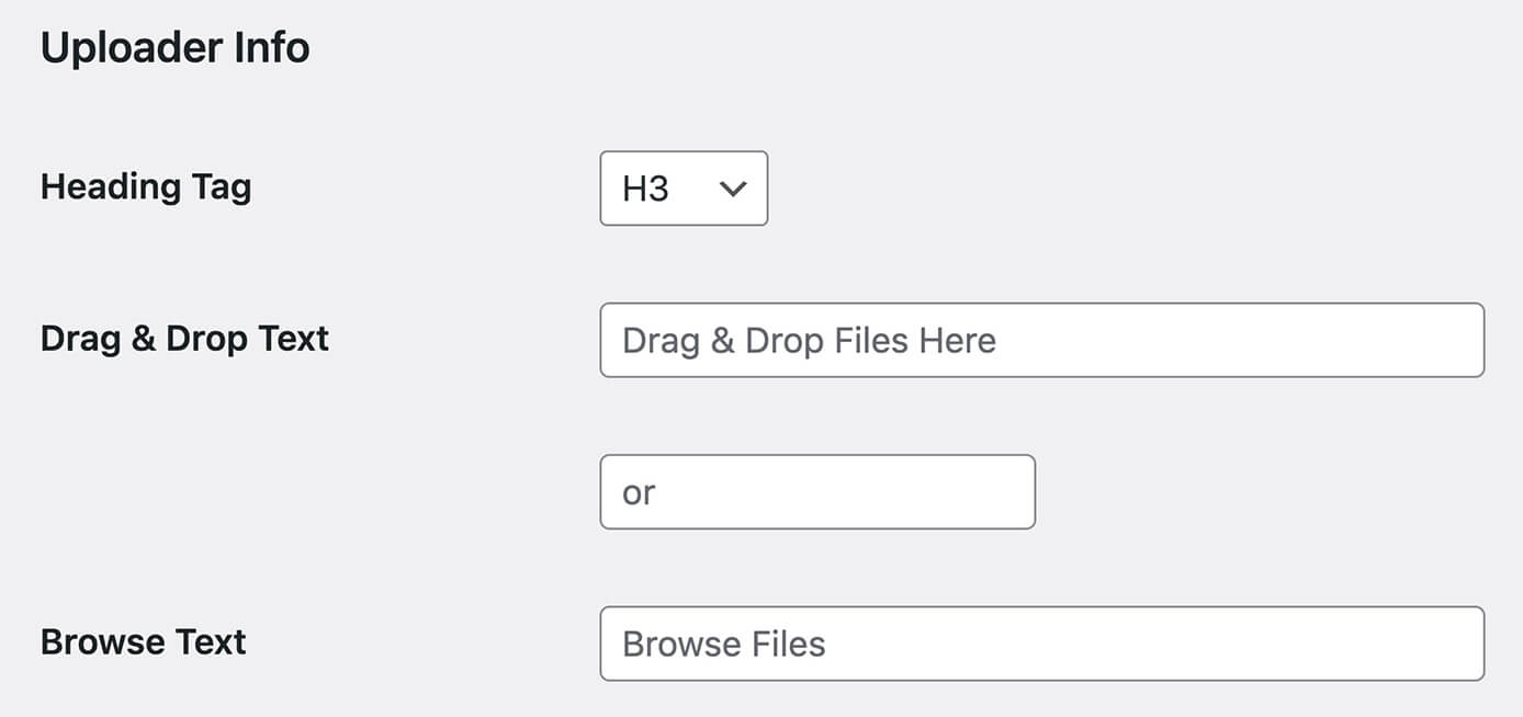 Drag and Drop Multiple File Uploadの設定：Uploader Info