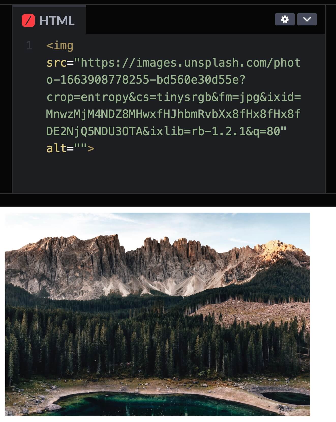 CodePen：imgタグにコピーした画像URLを貼り付け