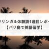 バリリンガル体験談・1週目レポート【バリ島で英語留学】