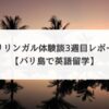 バリリンガル体験談・3週目レポート【バリ島で英語留学】