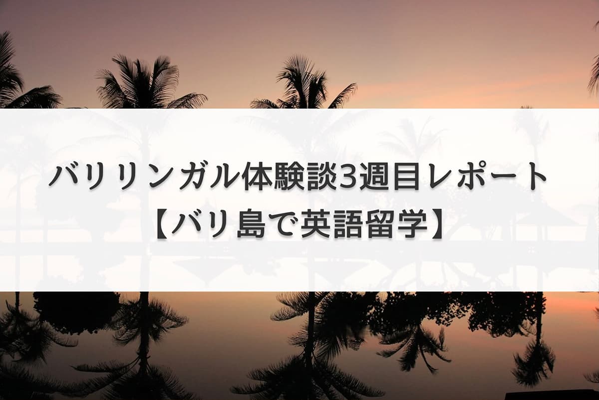 バリリンガル体験談・3週目レポート【バリ島で英語留学】